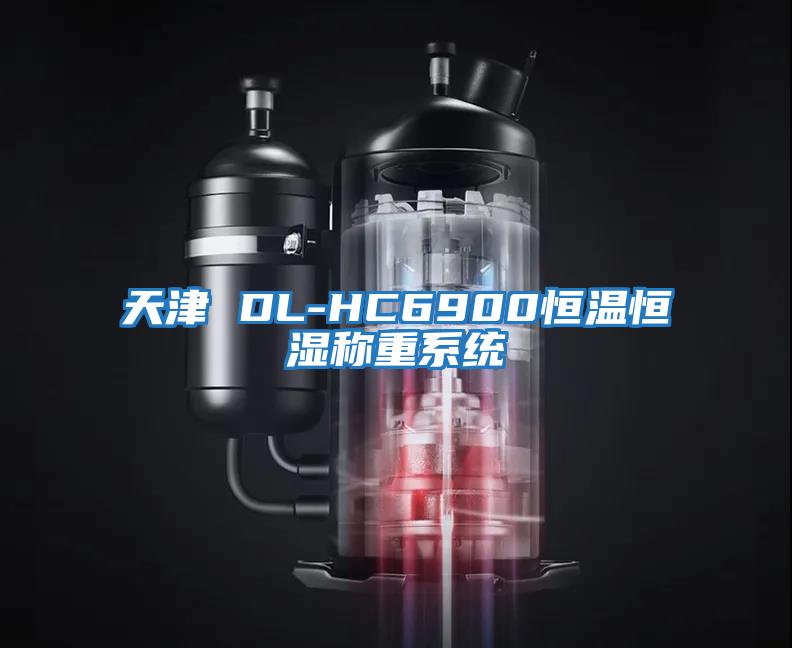 天津 DL-HC6900恒溫恒濕稱(chēng)重系統