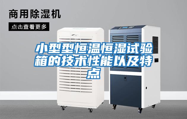 小型型恒溫恒濕試驗箱的技術(shù)性能以及特點(diǎn)