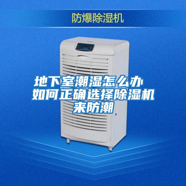 地下室潮濕怎么辦 如何正確選擇除濕機來(lái)防潮