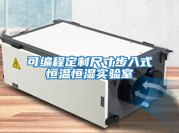 可編程定制尺寸步入式恒溫恒濕實(shí)驗室