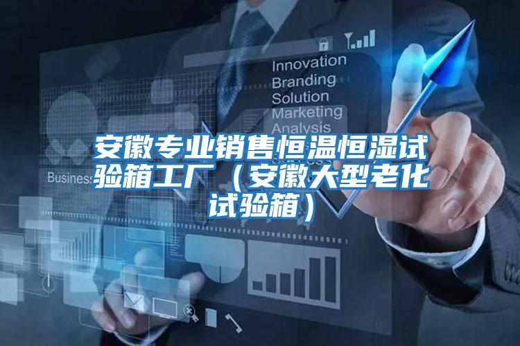 安徽專(zhuān)業(yè)銷(xiāo)售恒溫恒濕試驗箱工廠(chǎng)（安徽大型老化試驗箱）