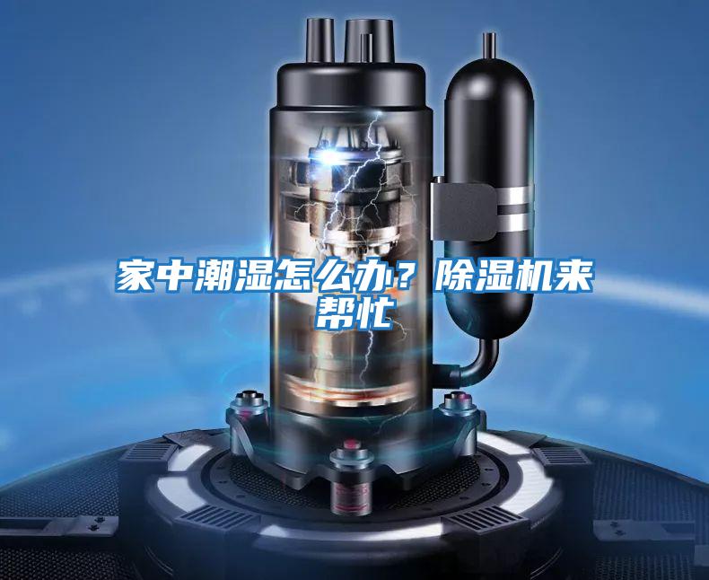 家中潮濕怎么辦？除濕機來(lái)幫忙