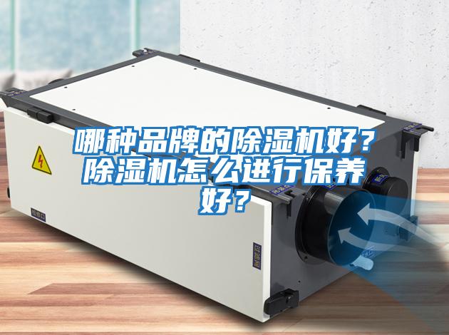 哪種品牌的除濕機好？除濕機怎么進(jìn)行保養好？