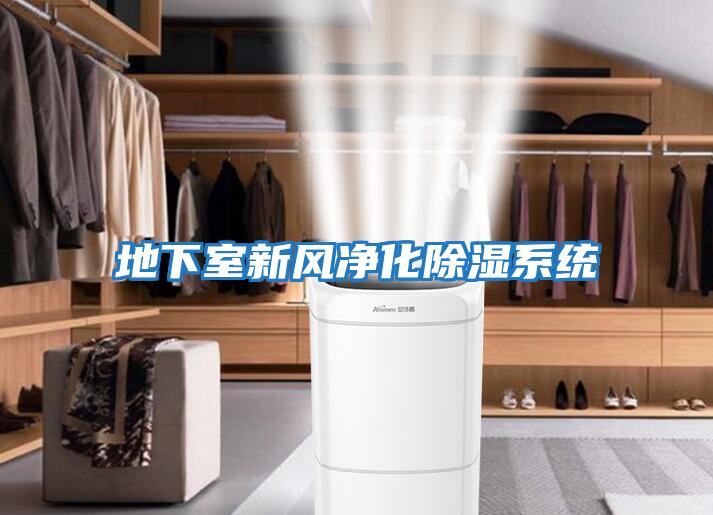 地下室新風(fēng)凈化除濕系統
