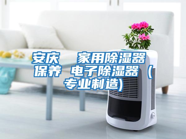 安慶  家用除濕器 保養 電子除濕器 (專(zhuān)業(yè)制造)