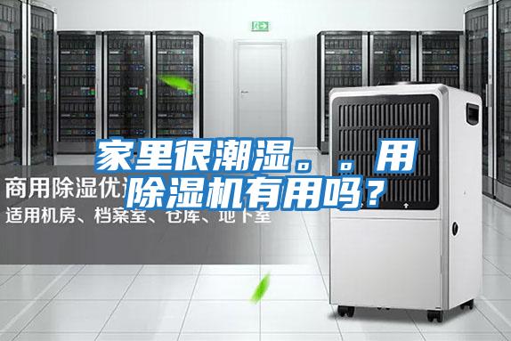 家里很潮濕。。用除濕機有用嗎？