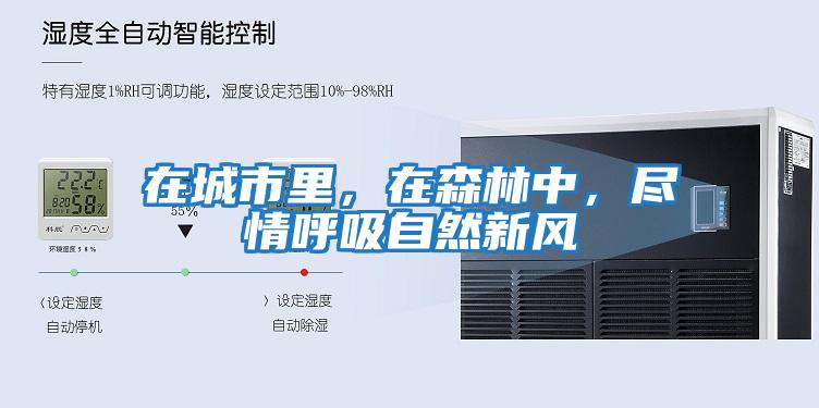 在城市里，在森林中，盡情呼吸自然新風(fēng)