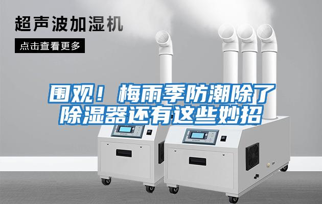 圍觀(guān)！梅雨季防潮除了除濕器還有這些妙招