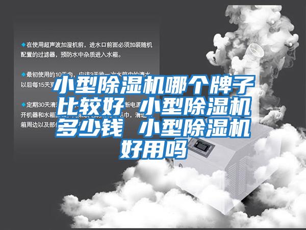 小型除濕機哪個(gè)牌子比較好 小型除濕機多少錢(qián) 小型除濕機好用嗎