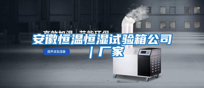 安徽恒溫恒濕試驗箱公司｜廠(chǎng)家
