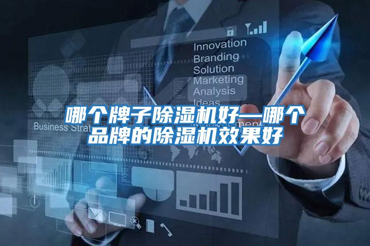 哪個(gè)牌子除濕機好—哪個(gè)品牌的除濕機效果好