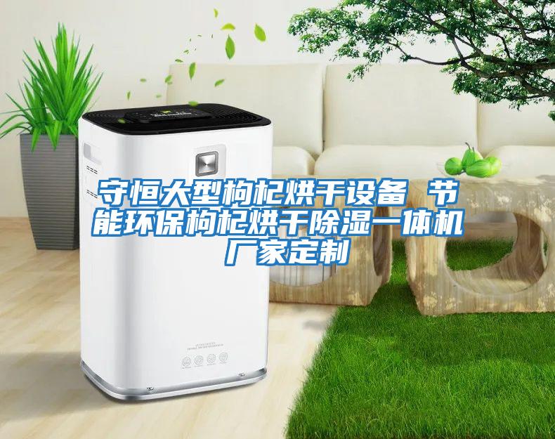 守恒大型枸杞烘干設備 節能環(huán)保枸杞烘干除濕一體機 廠(chǎng)家定制