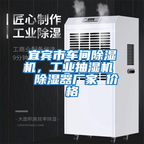 宜賓市車(chē)間除濕機，工業(yè)抽濕機  除濕器廠(chǎng)家 價(jià)格