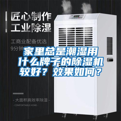 家里總是潮濕用什么牌子的除濕機較好？效果如何？
