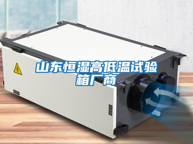 山東恒濕高低溫試驗箱廠(chǎng)商