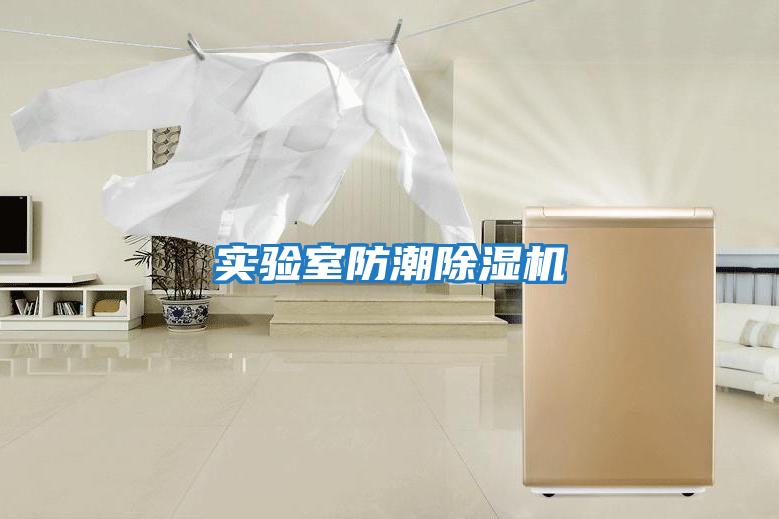 實(shí)驗室防潮除濕機
