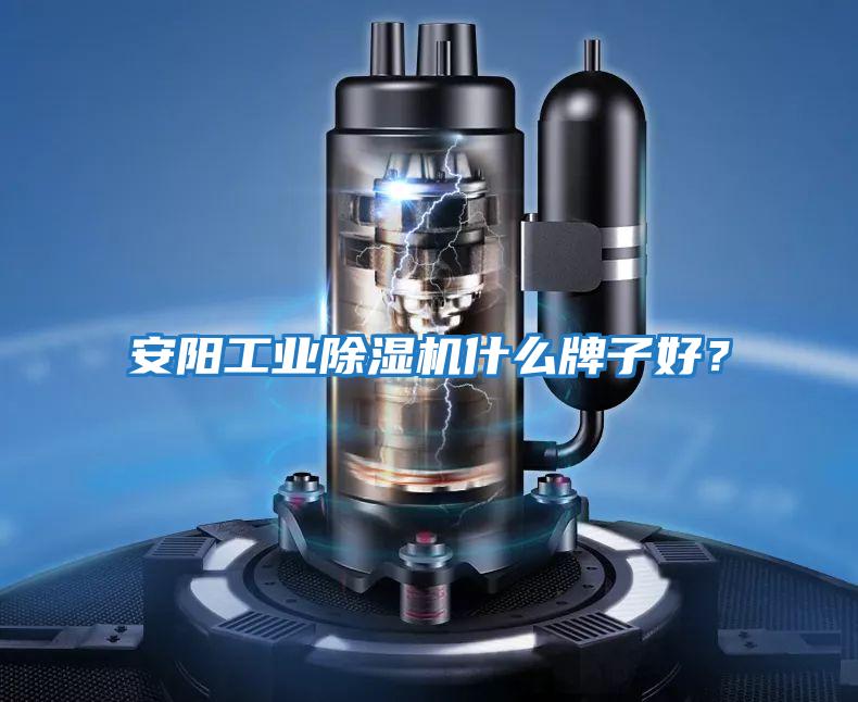 安陽(yáng)工業(yè)除濕機什么牌子好？