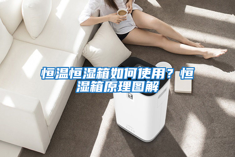 恒溫恒濕箱如何使用？恒濕箱原理圖解