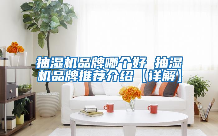 抽濕機品牌哪個(gè)好 抽濕機品牌推薦介紹【詳解】