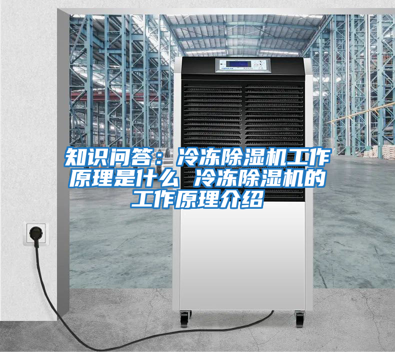 知識問(wèn)答：冷凍除濕機工作原理是什么 冷凍除濕機的工作原理介紹