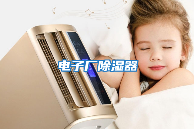 電子廠(chǎng)除濕器