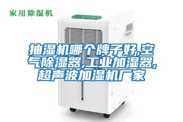 抽濕機哪個(gè)牌子好,空氣除濕器,工業(yè)加濕器,超聲波加濕機廠(chǎng)家