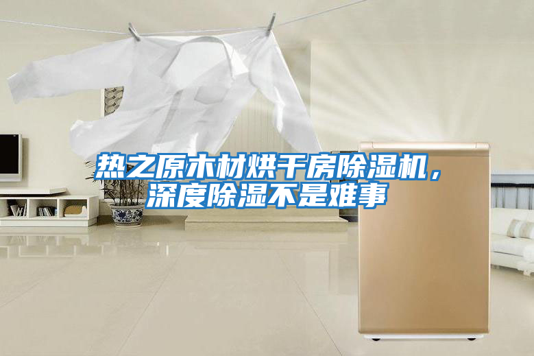 熱之原木材烘干房除濕機，深度除濕不是難事