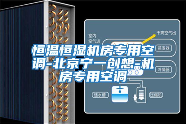 恒溫恒濕機房專(zhuān)用空調-北京寧一創(chuàng  )想-機房專(zhuān)用空調