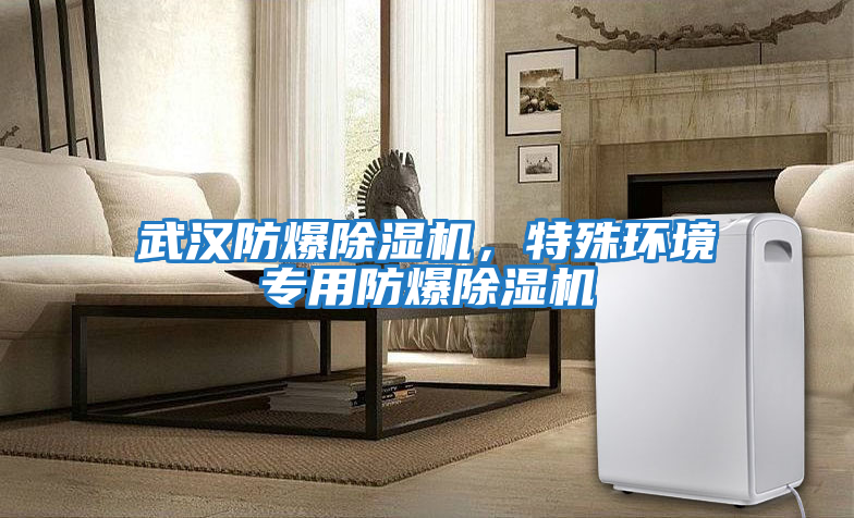 武漢防爆除濕機，特殊環(huán)境專(zhuān)用防爆除濕機