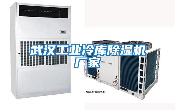 武漢工業(yè)冷庫除濕機廠(chǎng)家