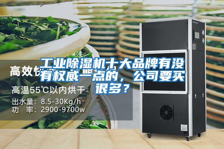 工業(yè)除濕機十大品牌有沒(méi)有權威一點(diǎn)的，公司要買(mǎi)很多？