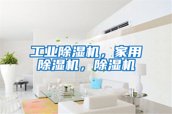 工業(yè)除濕機，家用除濕機，除濕機