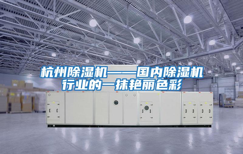 杭州除濕機——國內除濕機行業(yè)的一抹艷麗色彩