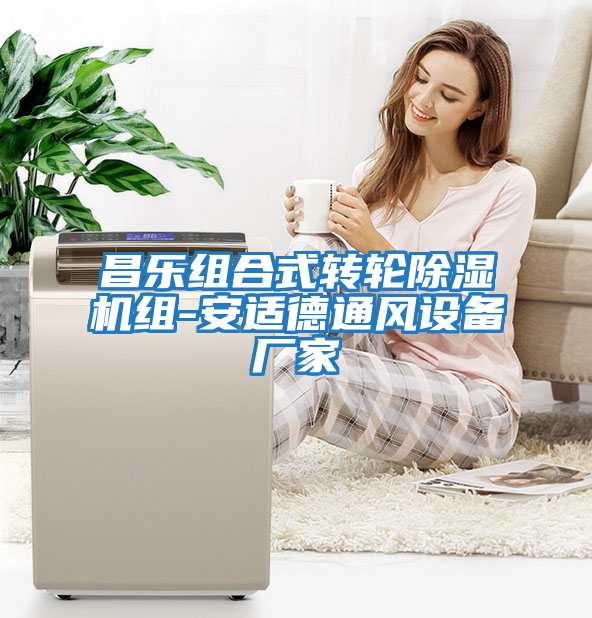 昌樂(lè )組合式轉輪除濕機組-安適德通風(fēng)設備廠(chǎng)家