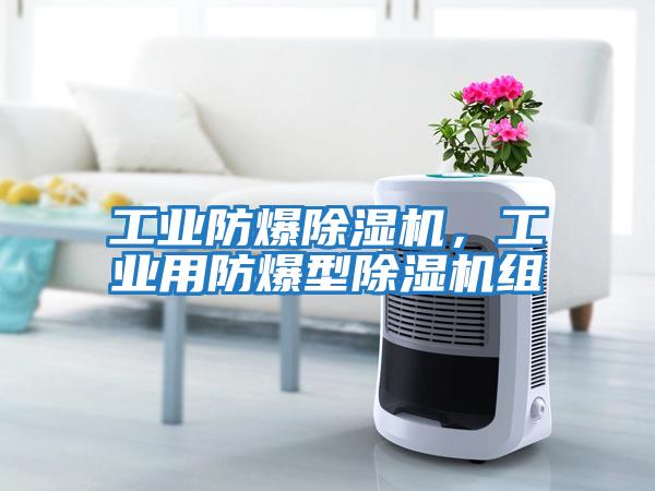 工業(yè)防爆除濕機，工業(yè)用防爆型除濕機組