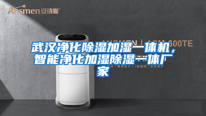武漢凈化除濕加濕一體機，智能凈化加濕除濕一體廠(chǎng)家