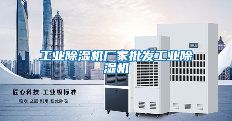 工業(yè)除濕機廠(chǎng)家批發(fā)工業(yè)除濕機