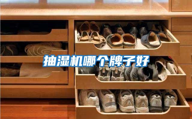 抽濕機哪個(gè)牌子好