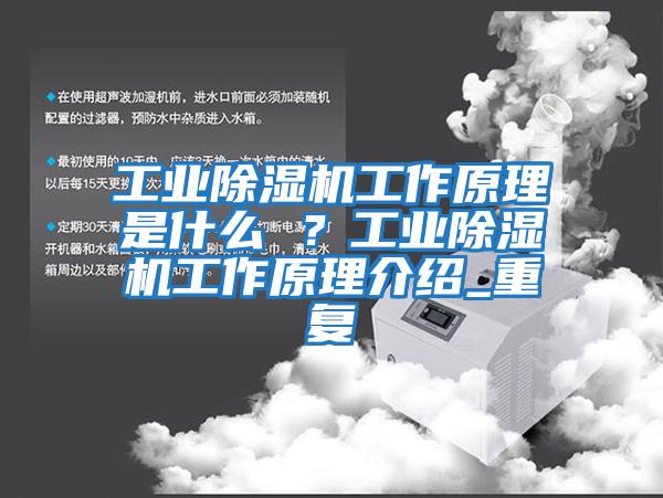 工業(yè)除濕機工作原理是什么 ？工業(yè)除濕機工作原理介紹_重復