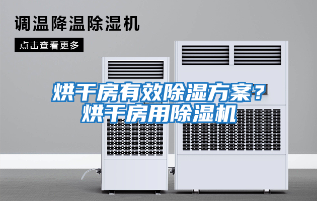 烘干房有效除濕方案？烘干房用除濕機