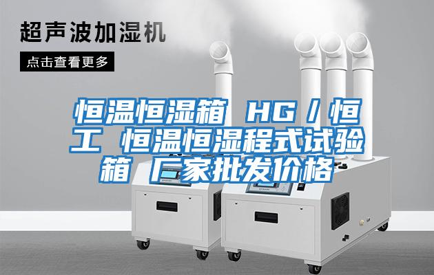 恒溫恒濕箱 HG／恒工 恒溫恒濕程式試驗箱 廠(chǎng)家批發(fā)價(jià)格