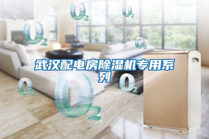 武漢配電房除濕機專(zhuān)用系列