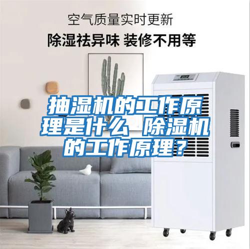 抽濕機的工作原理是什么 除濕機的工作原理？