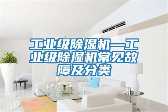 工業(yè)級除濕機—工業(yè)級除濕機常見(jiàn)故障及分類(lèi)