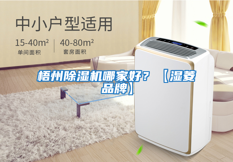 梧州除濕機哪家好？【濕菱品牌】