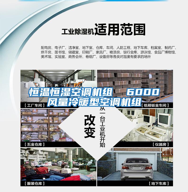 恒溫恒濕空調機組  6000風(fēng)量冷暖型空調機組