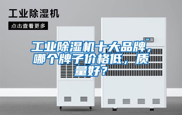 工業(yè)除濕機十大品牌，哪個(gè)牌子價(jià)格低，質(zhì)量好？