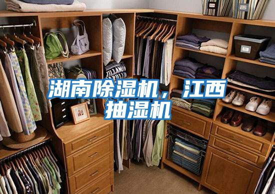 湖南除濕機，江西抽濕機