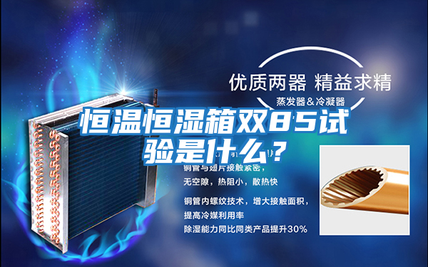 恒溫恒濕箱雙85試驗是什么？