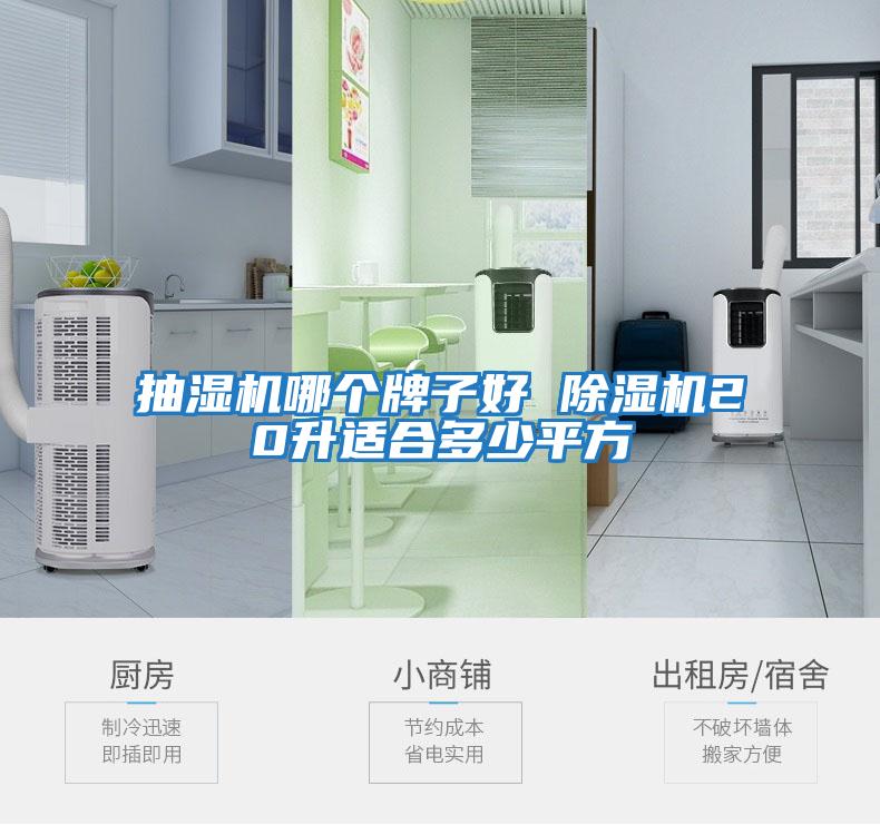 抽濕機哪個(gè)牌子好 除濕機20升適合多少平方